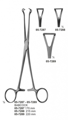 Lung Grasping Forceps